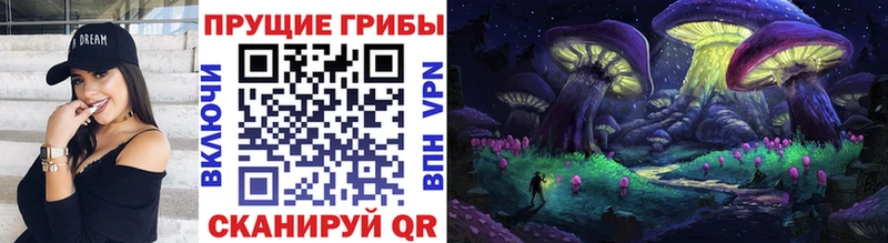 Купить закладки  Свирск  Псилоцибиновые грибы Psilocybine cubensis 
